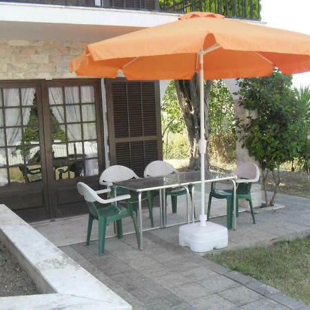 Apartamentos Na Casa Sao Bernardo Alcobaça Dış mekan fotoğraf