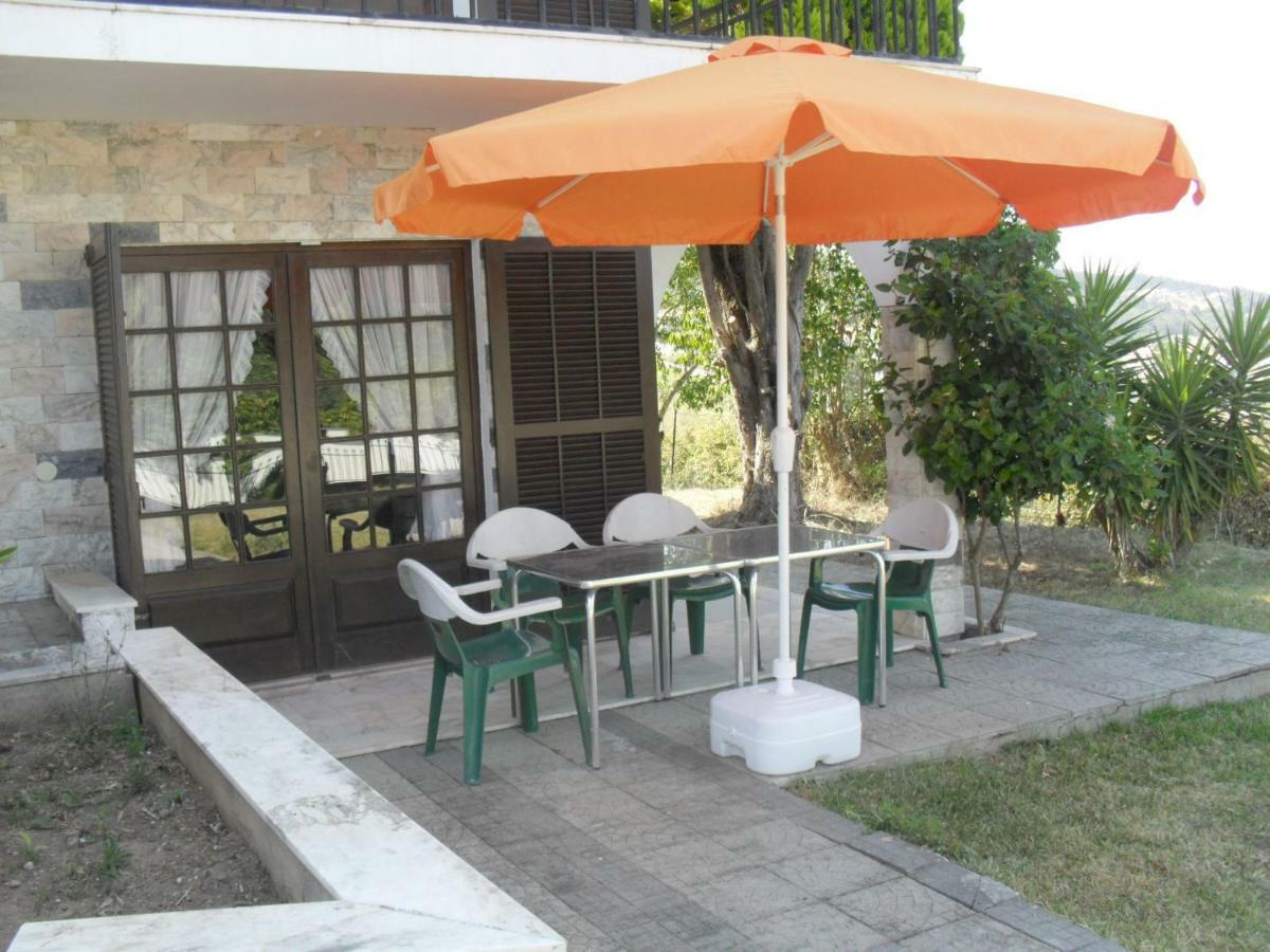 Apartamentos Na Casa Sao Bernardo Alcobaça Dış mekan fotoğraf